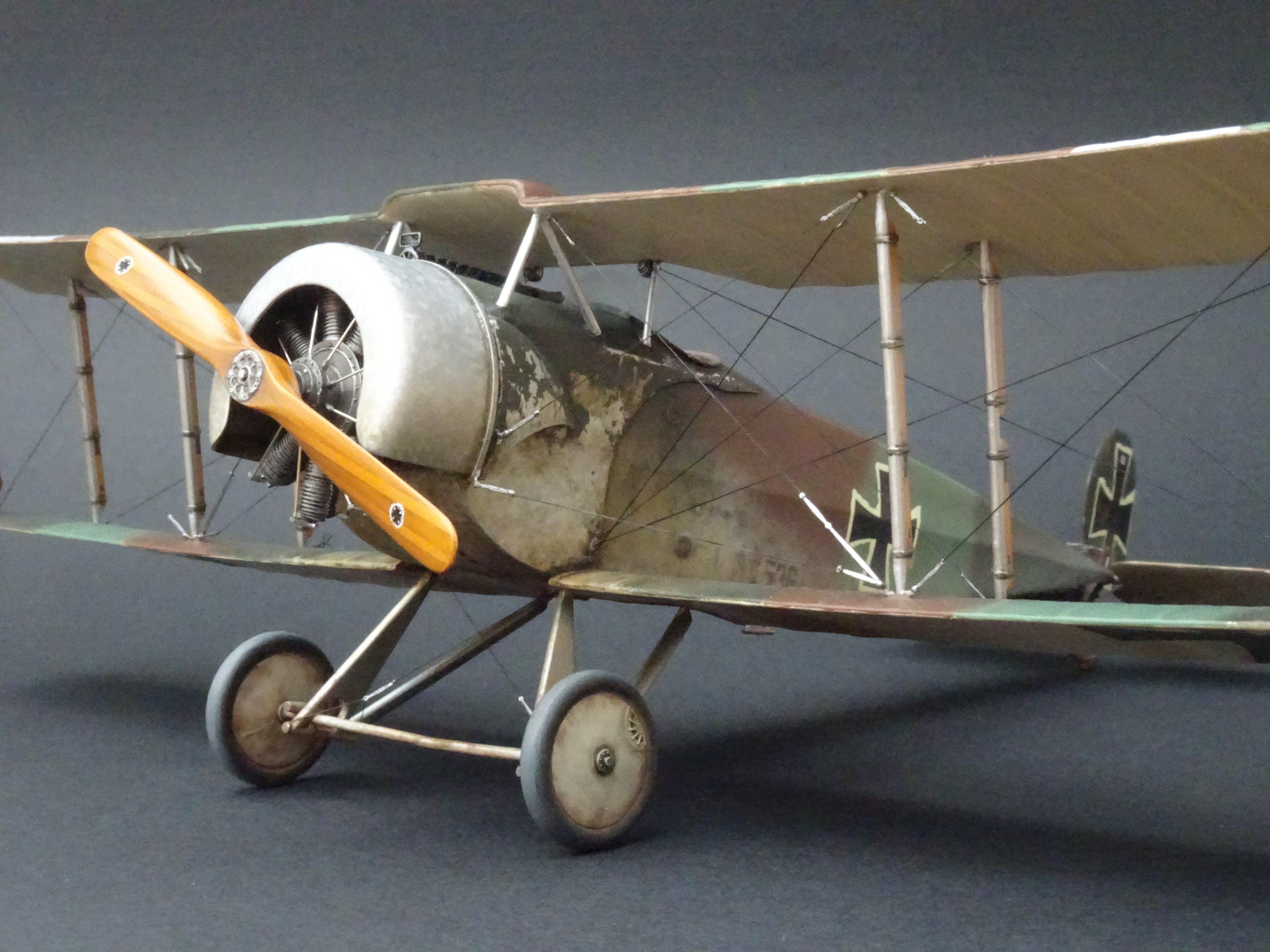 スペシャルホビー 1/32 フォッカー D.Ⅱ